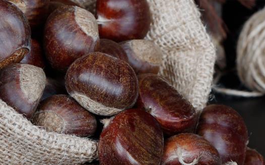 板栗吃了發胖嗎熱量高嗎 板栗吃了會放屁嗎