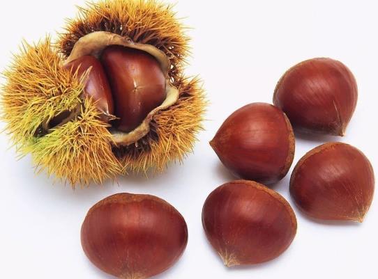 ?板栗是要冷凍還是冷藏?涼了的板栗放微波爐要熱多久