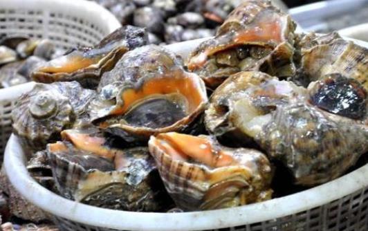 ?哺乳期可以吃海螺嗎?脯乳期吃海螺有哪些好處?