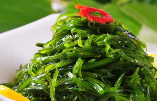 裙帶菜可以每天都吃嗎?裙帶菜吃多了會怎么樣?