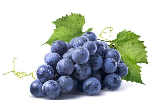 ?葡萄上面的白點點是什么 葡萄上有小白點能吃嗎