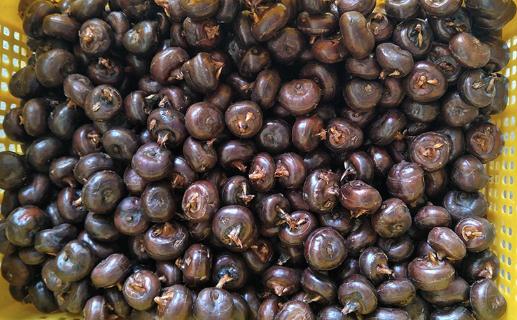 荸薺是蔬菜還是水果 低血壓能吃荸薺嗎