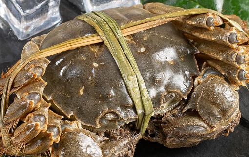 冰凍梭子蟹為什么會空 冷凍梭子蟹可以放多久