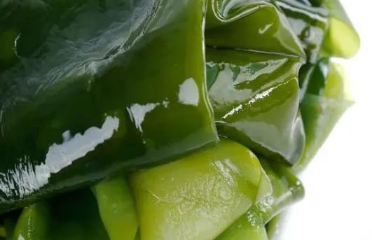 孕婦可以吃海苔嗎?孕婦吃海苔有哪些好處?