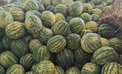 西瓜注射甜蜜素口感才會變甜對嗎 西瓜增甜蜜素對人體的傷害