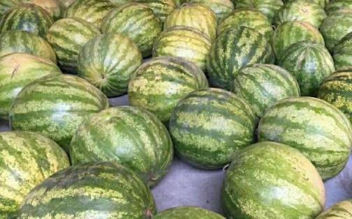 西瓜注射甜蜜素口感才會變甜對嗎 西瓜增甜蜜素對人體的傷害