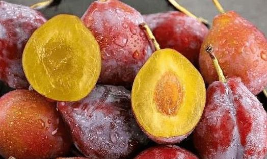 西梅的皮可以不可以吃 西梅吃多了會(huì)不會(huì)拉肚子