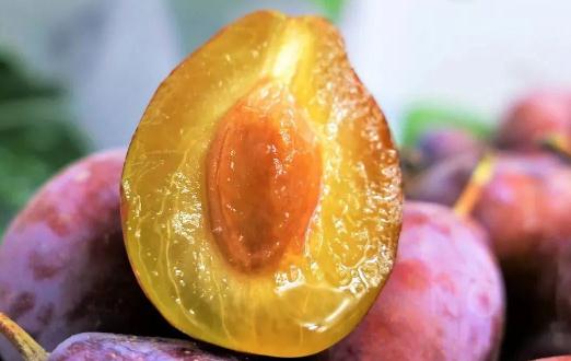 西梅的皮可以不可以吃 西梅吃多了會(huì)不會(huì)拉肚子