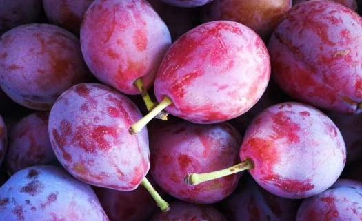 西梅的皮可以不可以吃 西梅吃多了會(huì)不會(huì)拉肚子