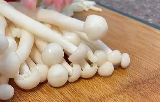 海鮮菇和白玉菇有哪些區別?孕婦可以吃白玉菇嗎?
