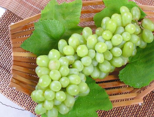 提子掉色還能不能吃?常溫下提子怎么保存才新鮮?