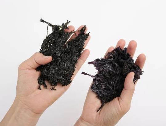 干紫菜為什么里邊是綠色的?干紫菜是紫色的還是綠色的?