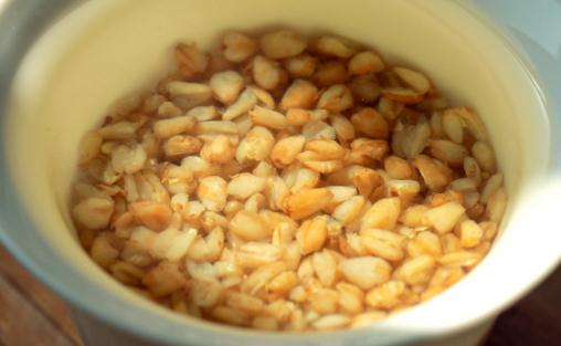 濕氣重可以喝苦蕎茶嗎 喝苦蕎茶會上火嗎