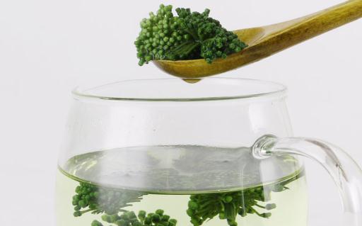 體內(nèi)濕氣重能喝三七花泡水嗎 喝三七花茶要注意什么