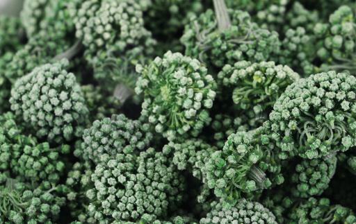 體內(nèi)濕氣重能喝三七花泡水嗎 喝三七花茶要注意什么