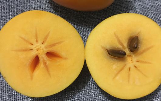 脆柿子麻嘴能吃嗎 脆柿子買回來可以直接吃嗎