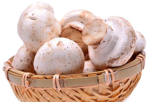 產(chǎn)婦可以吃口蘑嗎?口蘑有哪些功效?