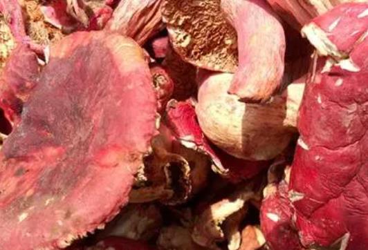 紅菇屬于發物嗎?吃紅菇有哪些好處?