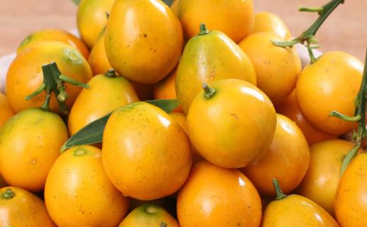 為什么金桔吃了嘴麻 金桔怎么吃嘴不麻