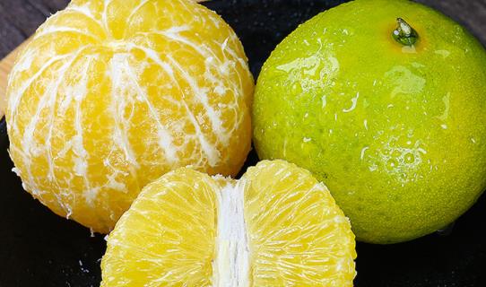 ?皇帝柑的功效與作用上火不 皇帝柑和沃柑的區別呢