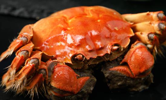 吃螃蟹拉黑色大便怎么回事 螃蟹吃完胃難受怎么辦