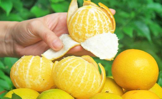 皇帝柑癌癥患者可以吃嗎 皇帝柑不甜怎么辦