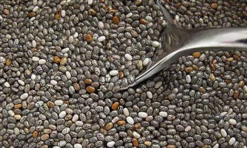 奇亞籽堅果藕粉吃了會發胖嗎 奇亞籽一天吃多少合適