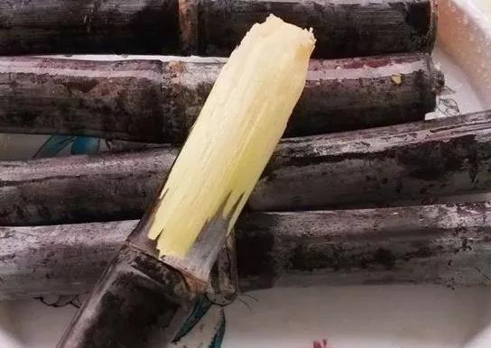 吃一根甘蔗等于吃了多少糖?晚上吃甘蔗容易長胖嗎