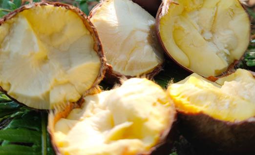 板栗不切開直接蒸可以熟嗎 板栗皮沒剝干凈能吃嗎