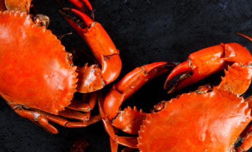 螃蟹和什么一起搭配吃最好 螃蟹吃完不舒服怎么辦