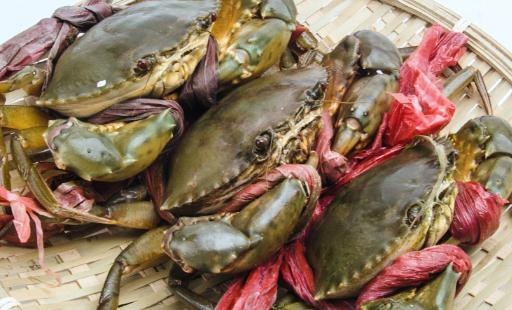 螃蟹和什么一起搭配吃最好 螃蟹吃完不舒服怎么辦