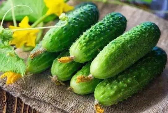 黃瓜片怎么曬才干得快?怎樣曬黃瓜干又綠又鮮