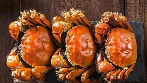 吃完螃蟹三個小時能吃柿子嗎 吃完螃蟹后吃點什么比較好