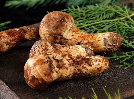 松茸發酸了還能吃嗎?凍松茸發酸能吃嗎