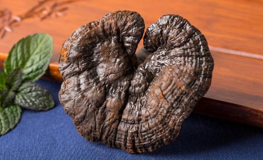 靈芝配什么泡水喝好 靈芝和靈芝孢子粉可以一起吃嗎