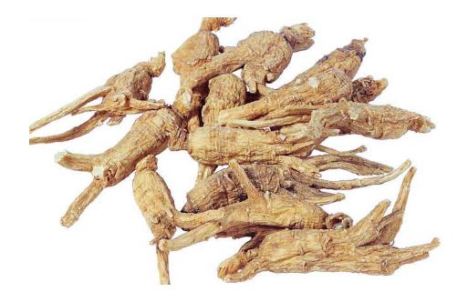 女人一個月吃幾次當歸好 當歸一次放一根可以嗎