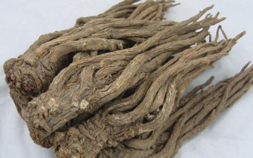 女人一個月吃幾次當歸好 當歸一次放一根可以嗎