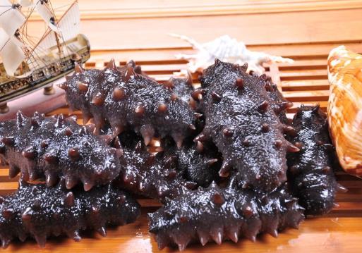 海參的保質期是多久?海參冷凍時間長了還能吃嗎