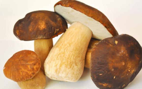 吃了牛肝菌可以喝酒嗎?吃牛肝菌有哪些功效?