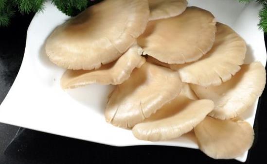 產婦可以吃平菇嗎?產婦吃平菇有哪些好處?