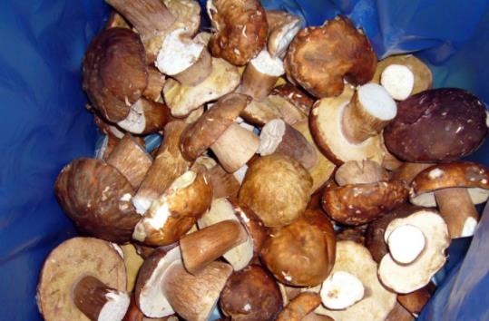 吃了牛肝菌可以喝酒嗎?吃牛肝菌有哪些功效?