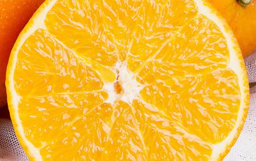 果凍橙大的好還是小的好 果凍橙和冰糖橙哪個(gè)好吃