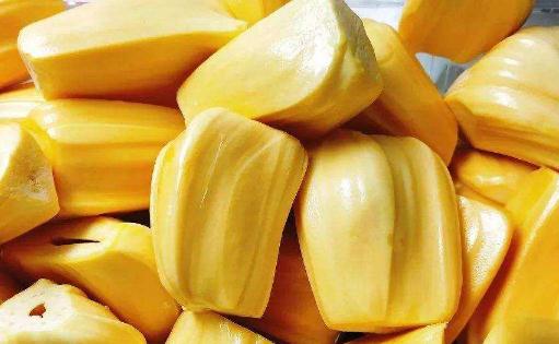 菠蘿蜜悶在袋子中會(huì)熟嗎 菠蘿蜜催熟的最佳方法