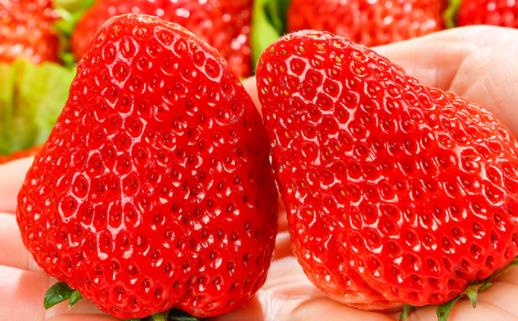 草莓大是不是用了膨大劑 草莓一天吃多少合適