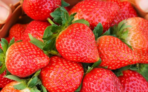 草莓大是不是用了膨大劑 草莓一天吃多少合適