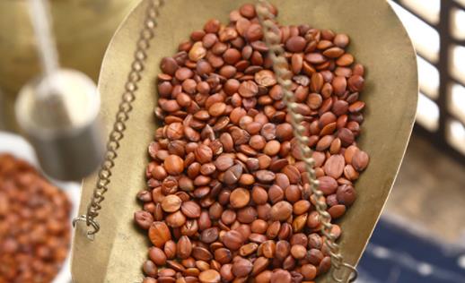 酸棗仁吃了口干正常嗎 酸棗仁煮水需要弄碎嗎