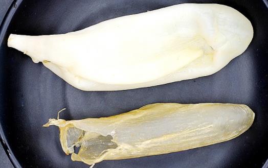 花膠是天天吃還是隔幾天吃比較好 吃多了花膠會(huì)嘌呤高嗎