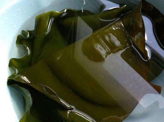 怎么辨別福爾馬林泡過的海帶?泡過藥水的海帶咋區(qū)別