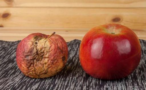 蘋果發霉了一點點切掉能吃嗎 發霉的蘋果是什么樣子的圖片