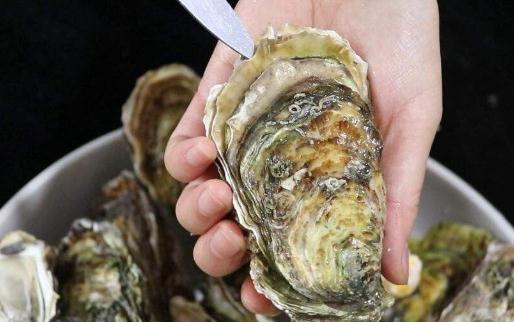 生蠔怎么清洗內臟圖解 生蠔清洗干凈后能放冰箱冷藏多久